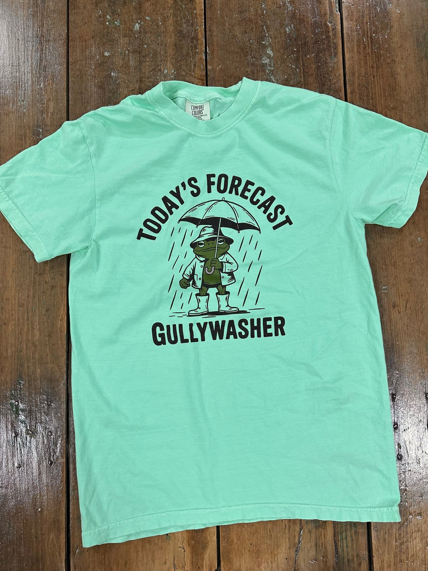 Today's Forecast Gullywasher | Short Sleeve