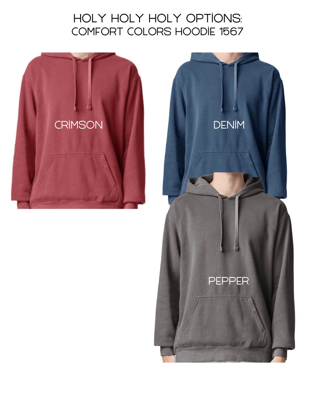 Holy Holy Holy Comfort Colors Hoodie